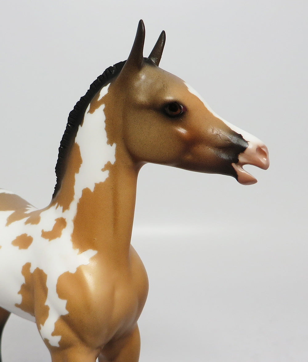 SCOTTS BLUFF-OOAK BUCKSKIN PINTO MODEL HORSE EQ 2017