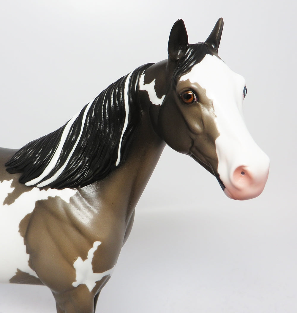 SEATTLE-LE-2-NON CUSTOM GRULLA OVERO ISH MODEL HORSE EQ 2017