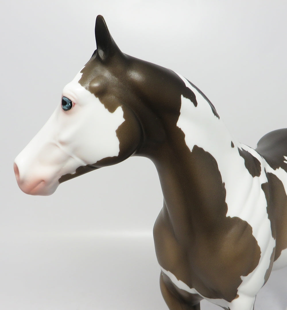 SEATTLE-LE-2-NON CUSTOM GRULLA OVERO ISH MODEL HORSE EQ 2017