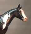 DREAM MAKER SHADOW - Paint Stock Horse