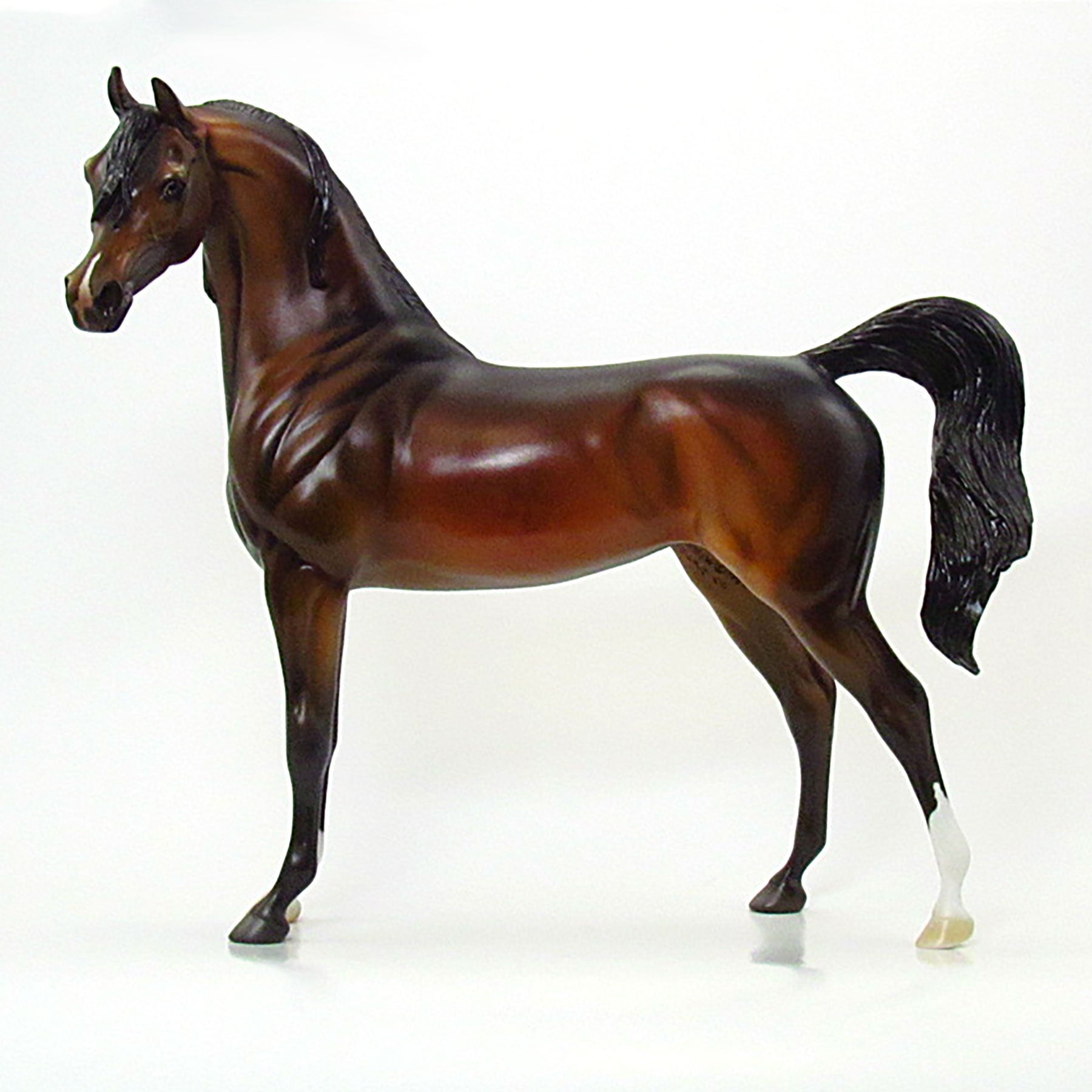 SHAMAN OF THE EASTERN WORLD - OOAK Dapple Bay Arabian 6/15