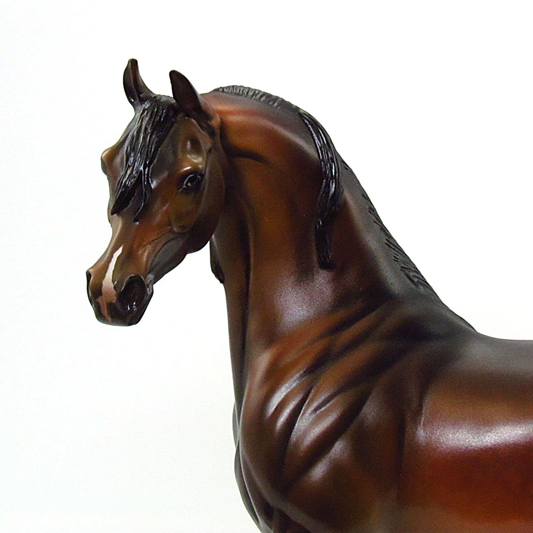 SHAMAN OF THE EASTERN WORLD - OOAK Dapple Bay Arabian 6/15