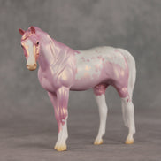 Shampoo Bubbles OOAK Pebble Arabian Mare by Jess Hamill VV26