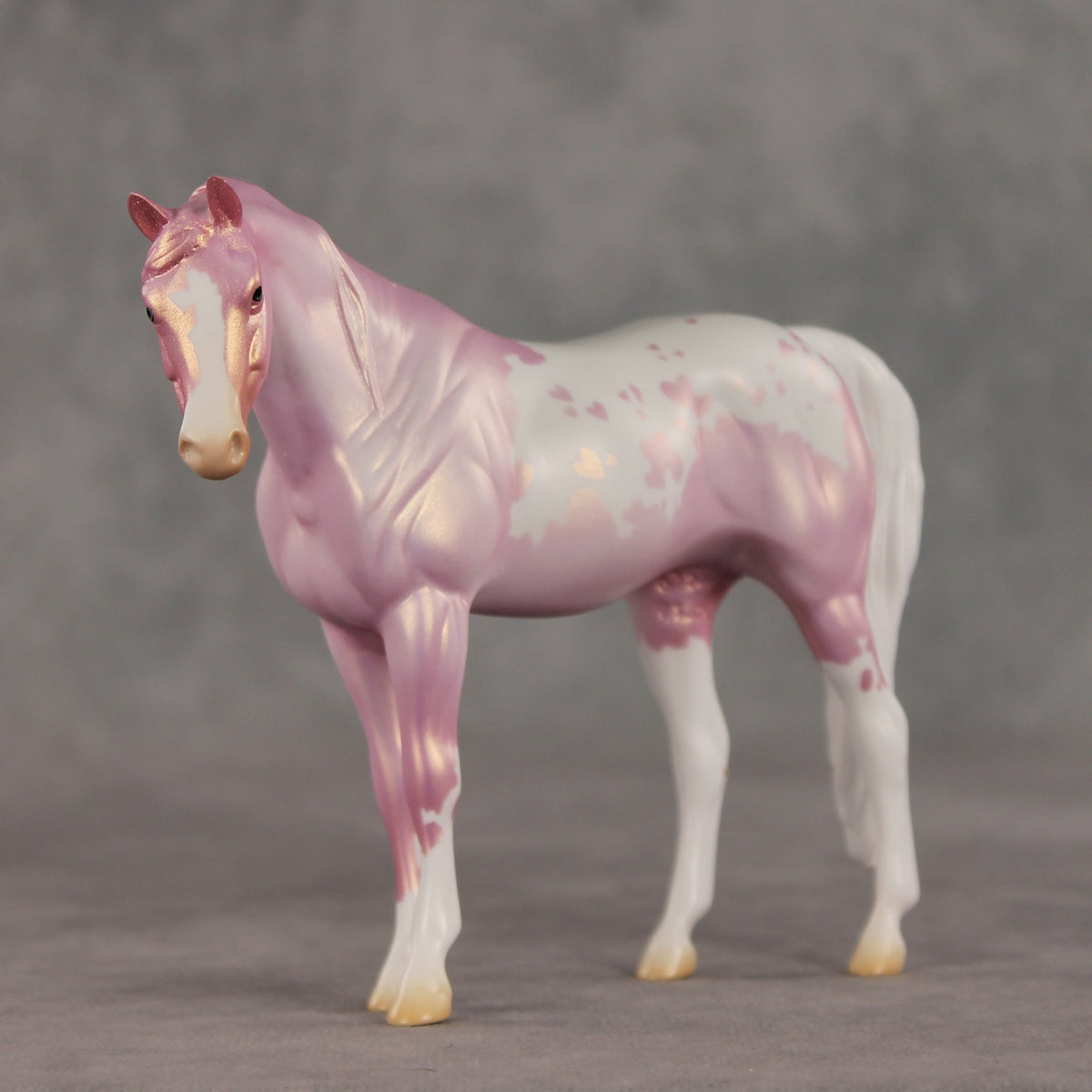 Shampoo Bubbles OOAK Pebble Arabian Mare by Jess Hamill VV26