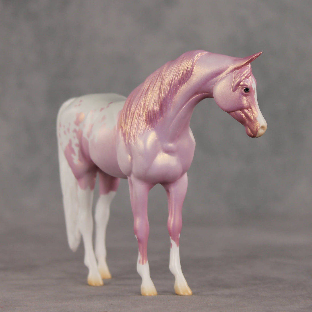 Shampoo Bubbles OOAK Pebble Arabian Mare by Jess Hamill VV26