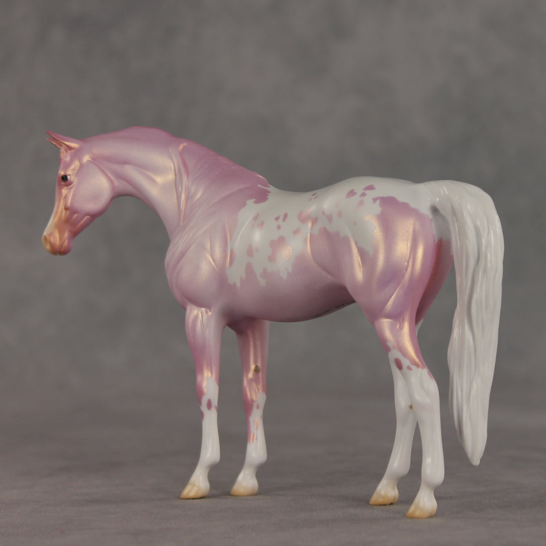 Shampoo Bubbles OOAK Pebble Arabian Mare by Jess Hamill VV26