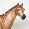 SHERE KHAN 
