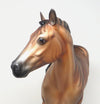 Ideal Stock Horse