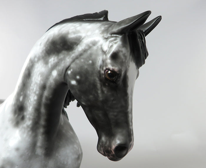 TALL, DARK AND HANDSOME-OOAK LOUD APPALOOSA MODEL HORSE 9/9