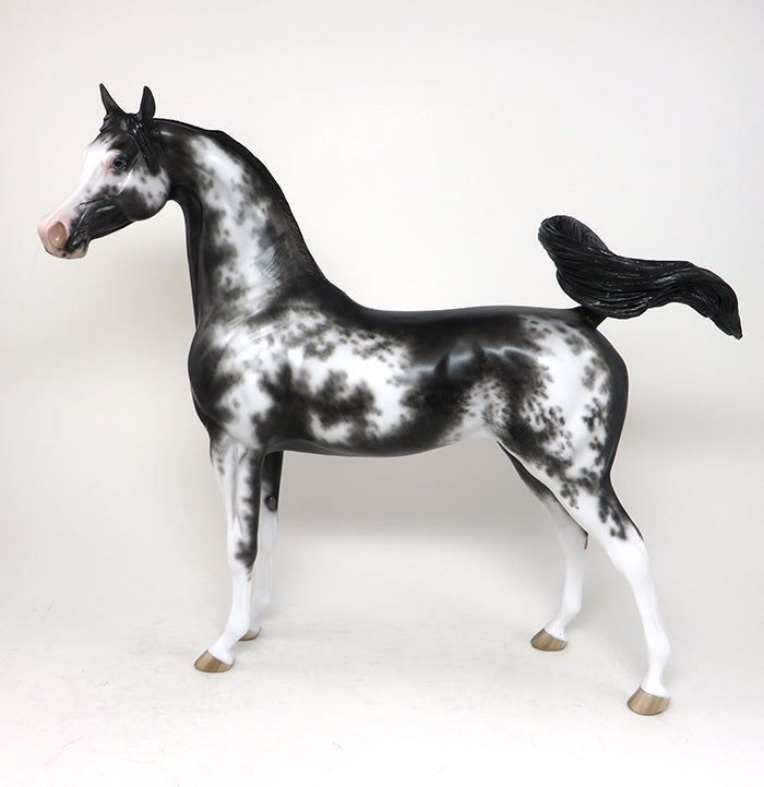 black sabino arabian