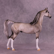 Shimmer OOAK Arabian Stallion by Julie Keim HS25