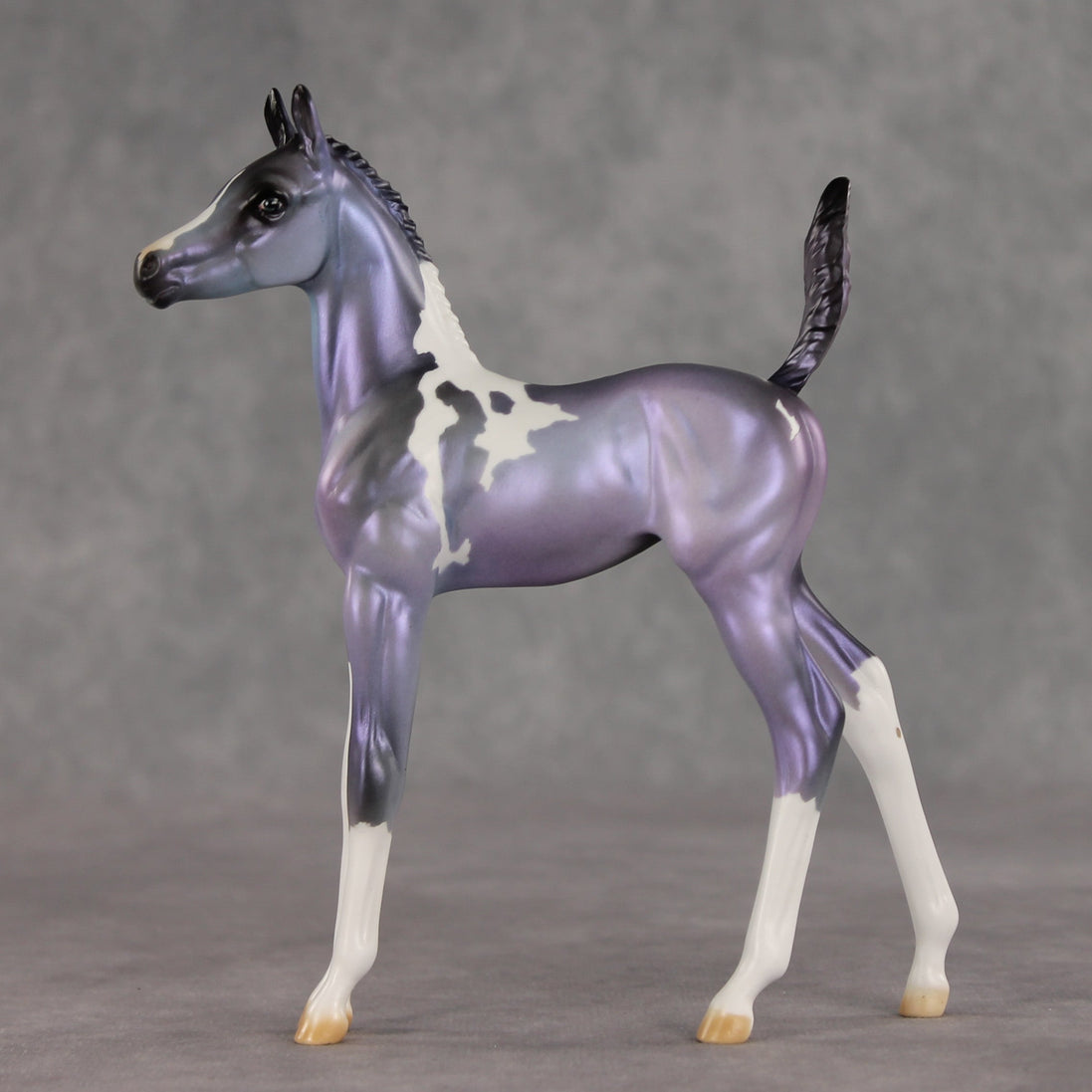 Shimmering Twilight OOAK Arabian Foal by Julie Keim VV26