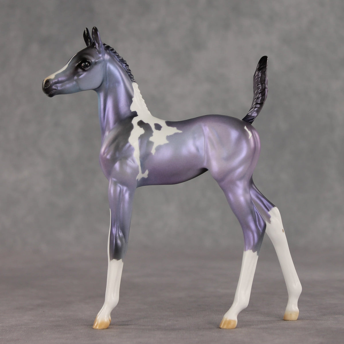 Shimmering Twilight OOAK Arabian Foal by Julie Keim VV26