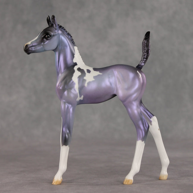 Shimmering Twilight OOAK Arabian Foal by Julie Keim VV26