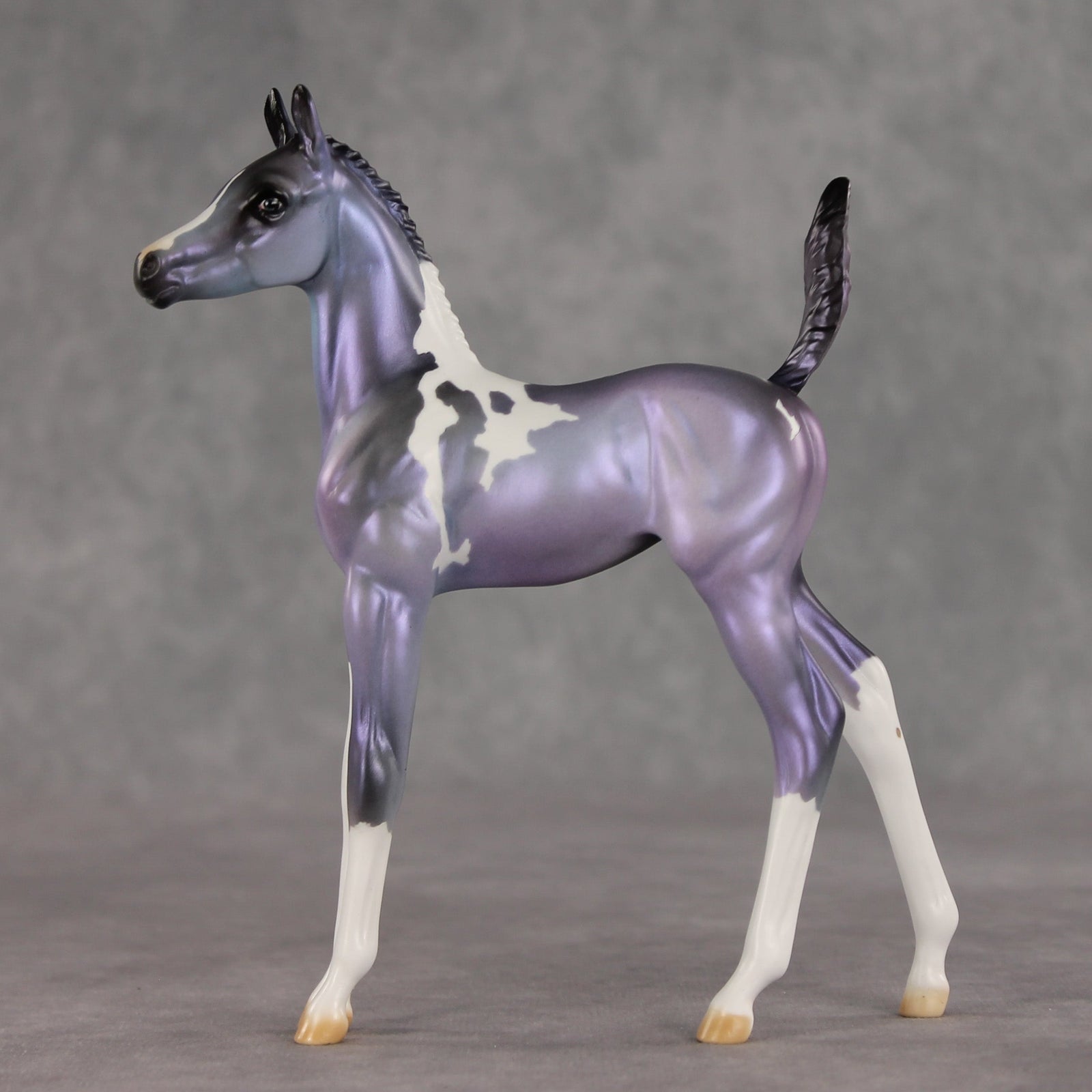 Shimmering Twilight OOAK Arabian Foal by Julie Keim VV26