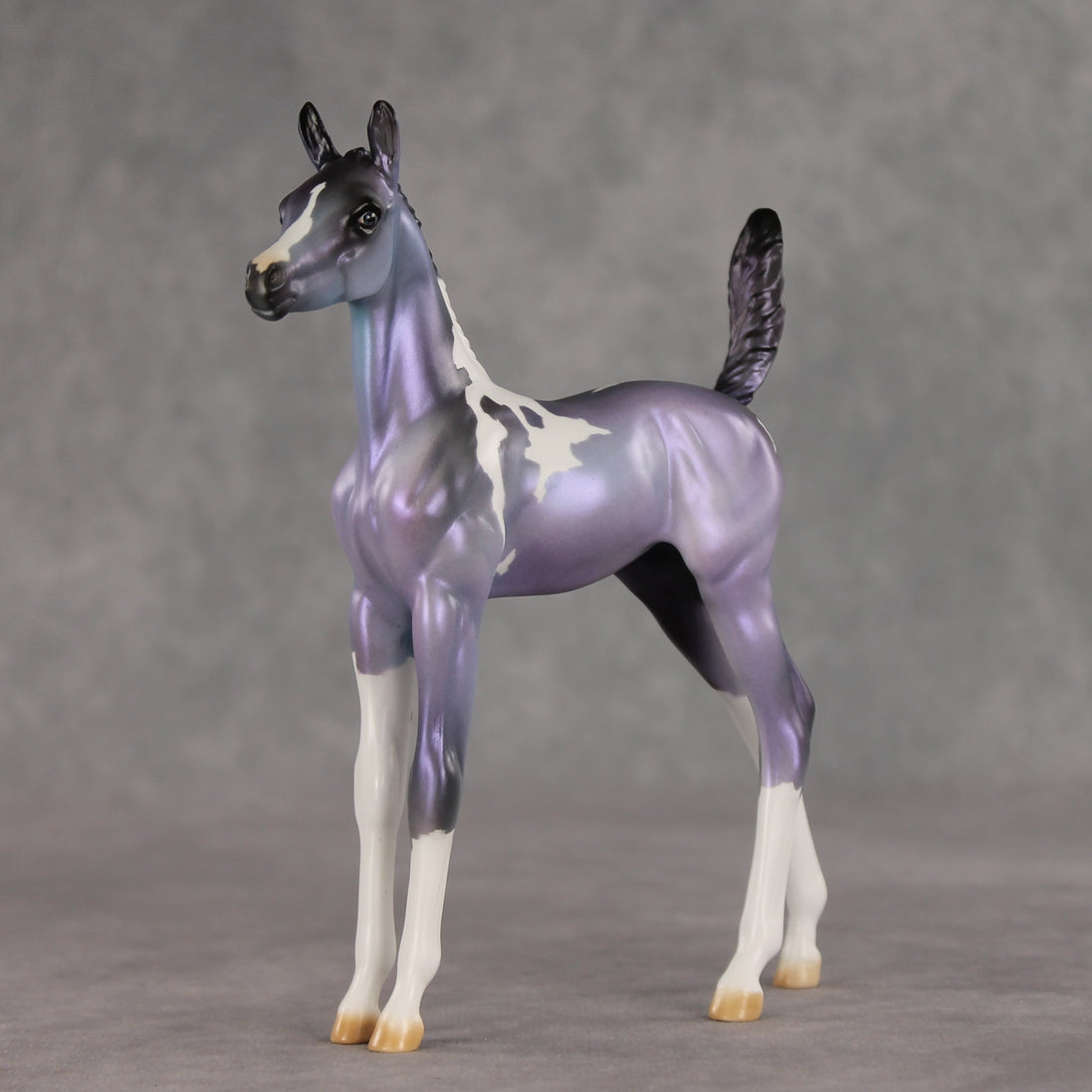 Shimmering Twilight OOAK Arabian Foal by Julie Keim VV26