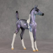Shimmering Twilight OOAK Arabian Foal by Julie Keim VV26