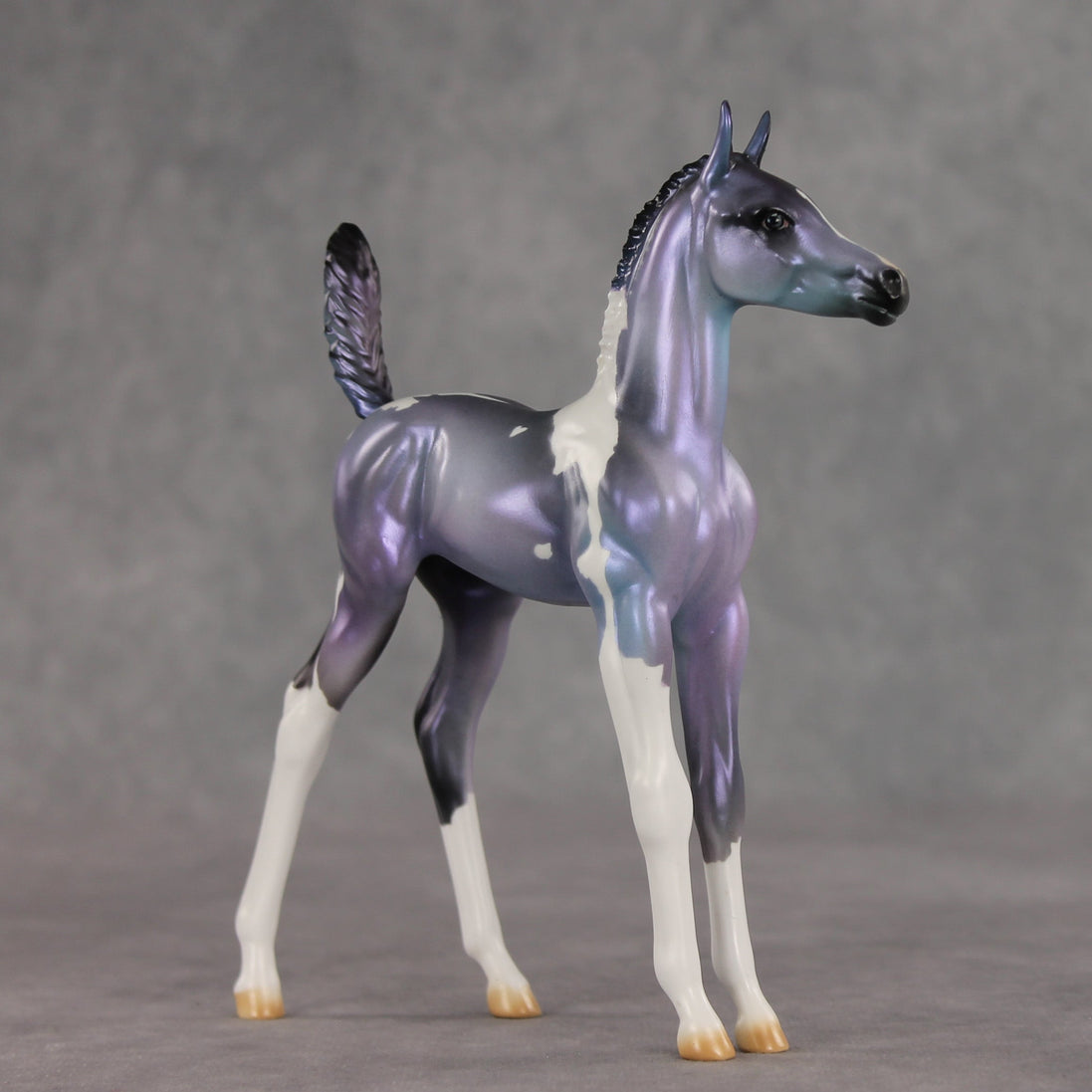 Shimmering Twilight OOAK Arabian Foal by Julie Keim VV26