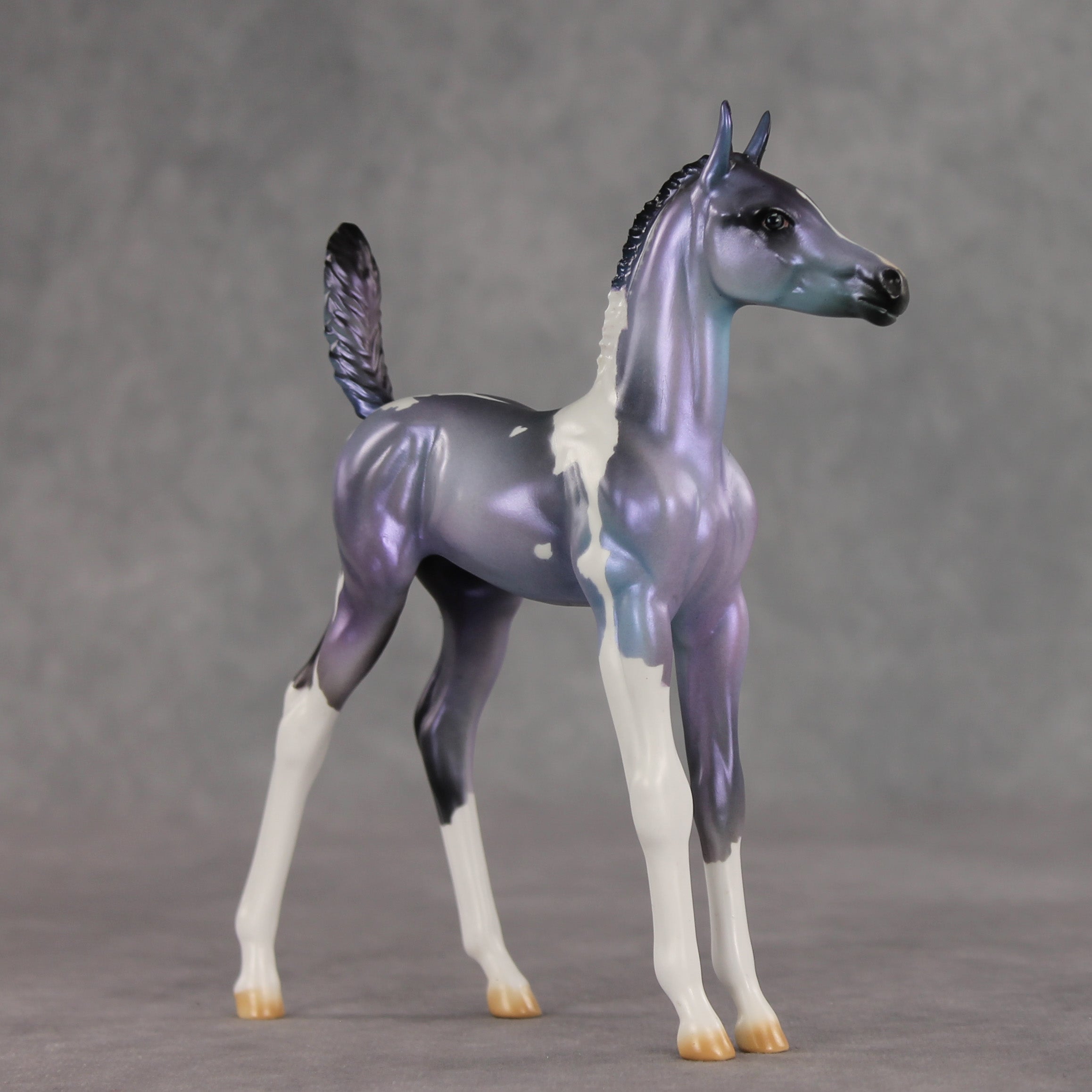 Shimmering Twilight OOAK Arabian Foal by Julie Keim VV26