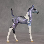 Shimmering Twilight OOAK Arabian Foal by Julie Keim VV26