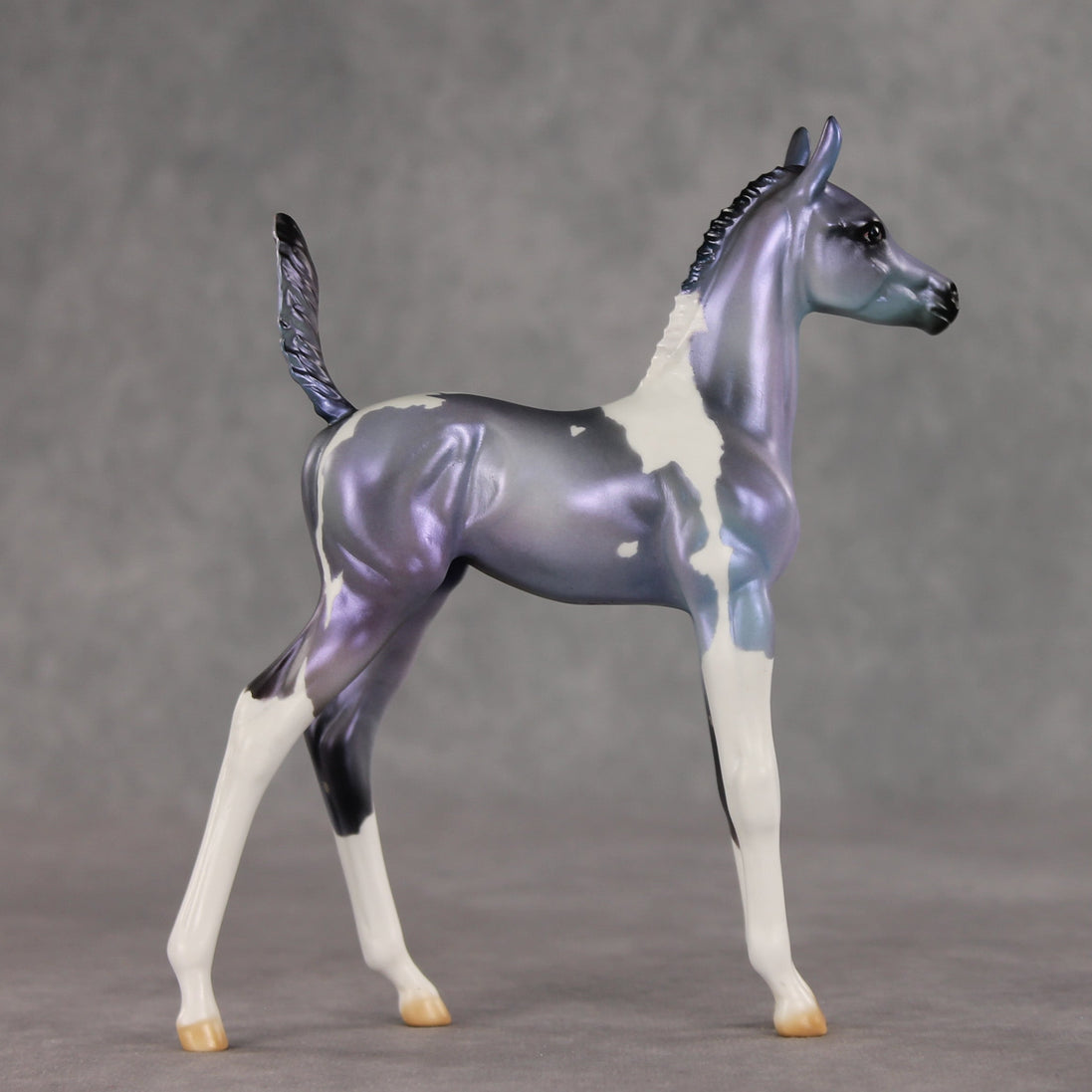 Shimmering Twilight OOAK Arabian Foal by Julie Keim VV26