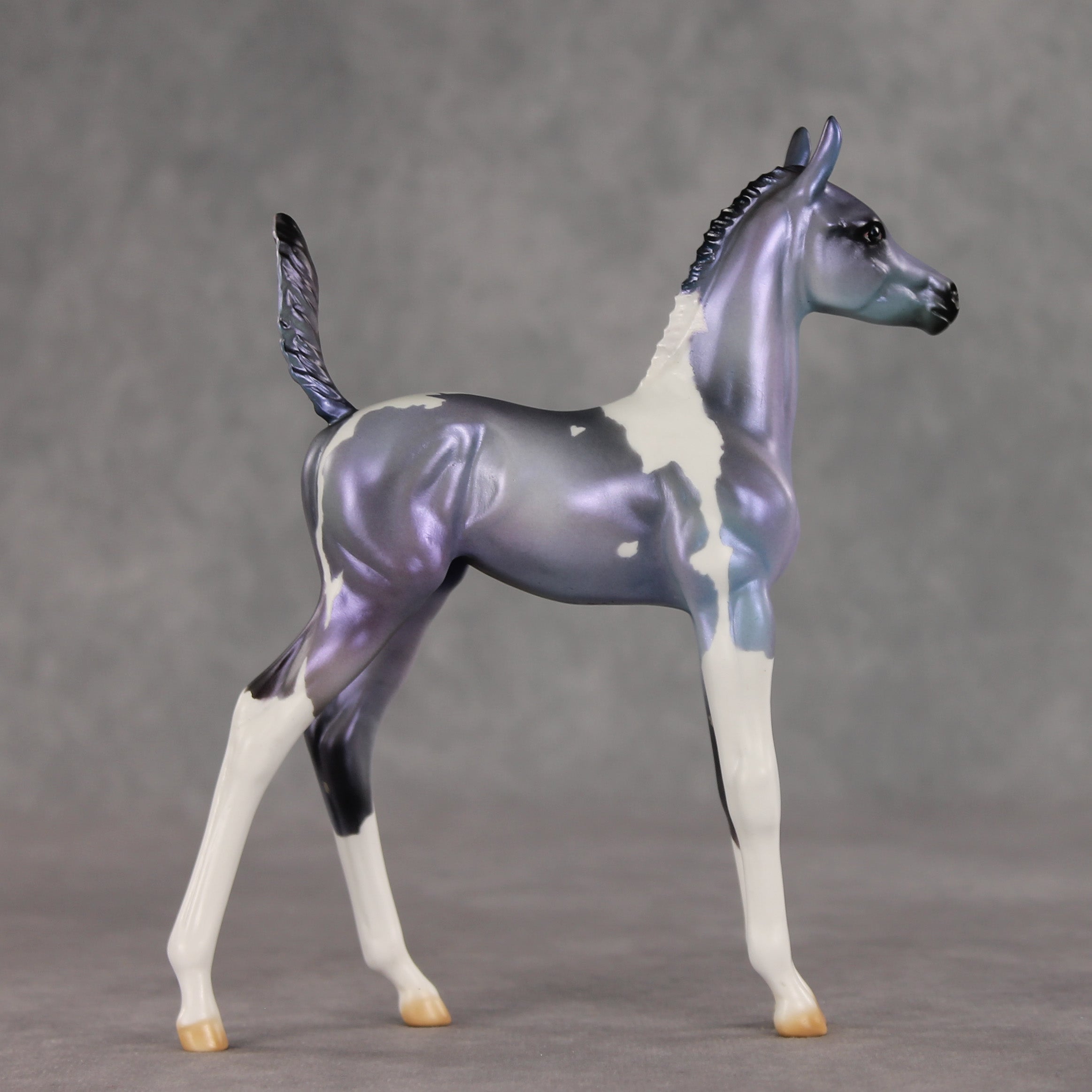 Shimmering Twilight OOAK Arabian Foal by Julie Keim VV26