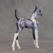 Shimmering Twilight OOAK Arabian Foal by Julie Keim VV26