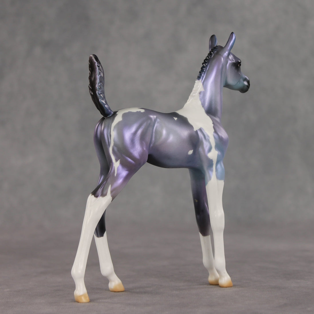 Shimmering Twilight OOAK Arabian Foal by Julie Keim VV26