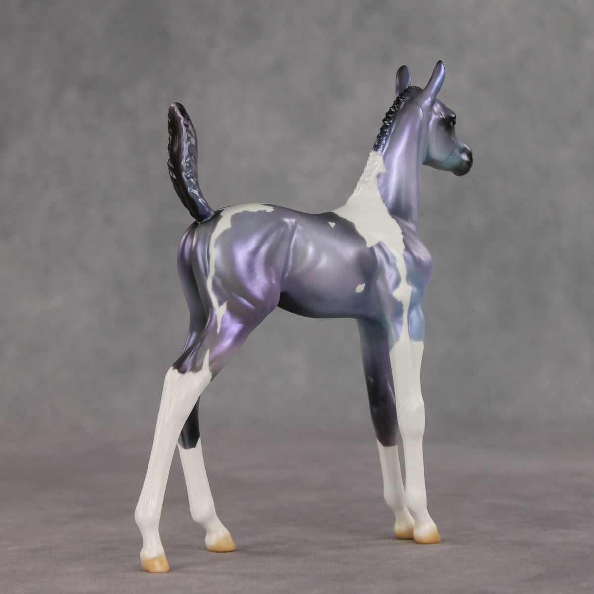 Shimmering Twilight OOAK Arabian Foal by Julie Keim VV26