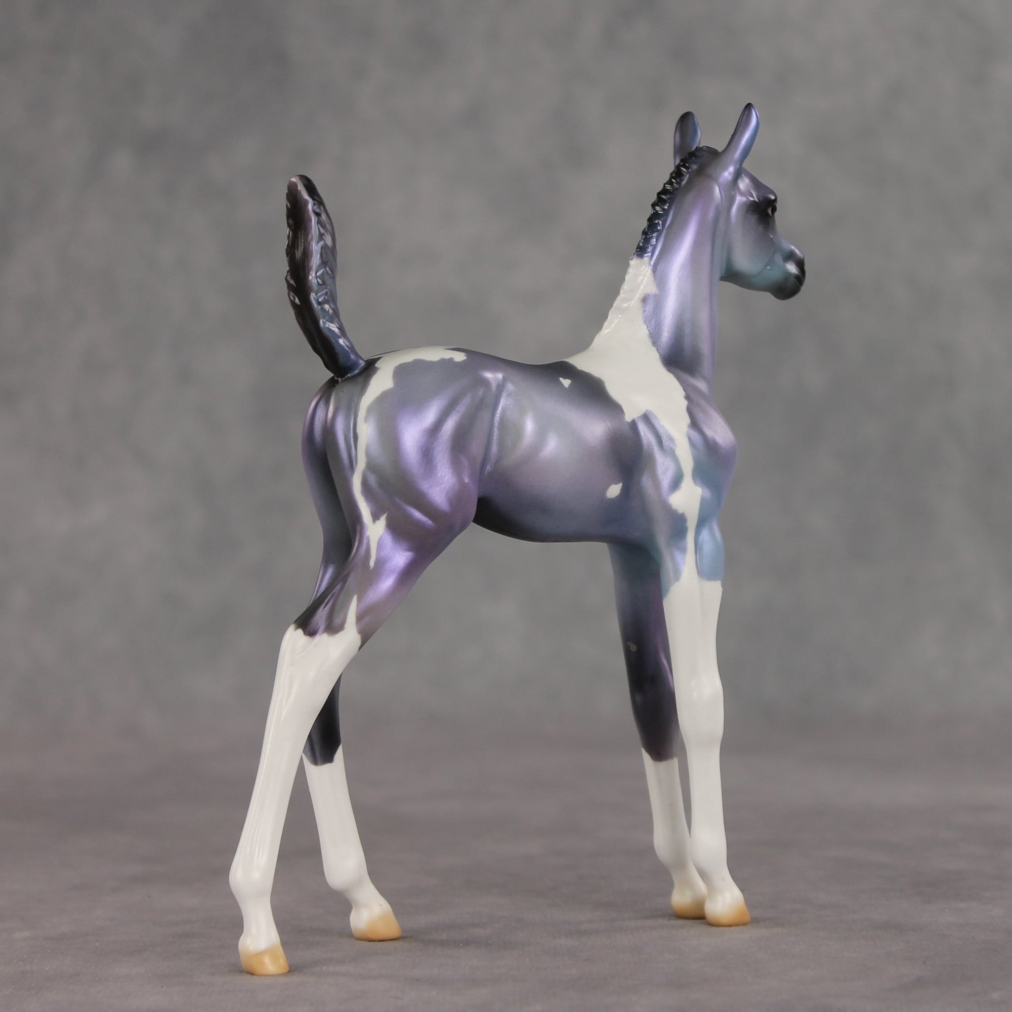 Shimmering Twilight OOAK Arabian Foal by Julie Keim VV26