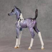 Shimmering Twilight OOAK Arabian Foal by Julie Keim VV26