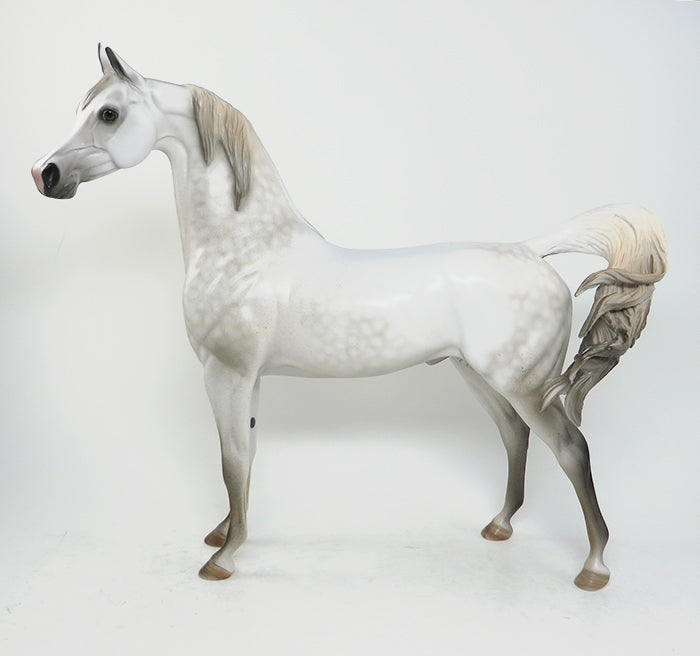 dapple grey arabian omega