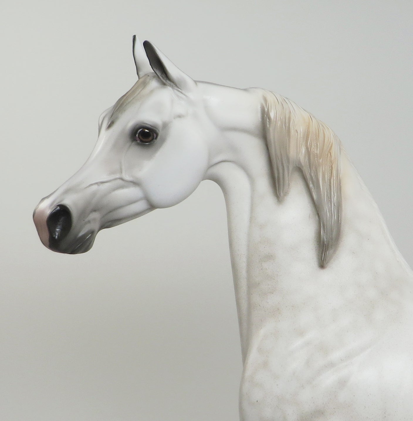 OMEGA - DAPPLE GREY LIMITED EDITION ARABIAN MODEL HORSE - LE4 -1/28