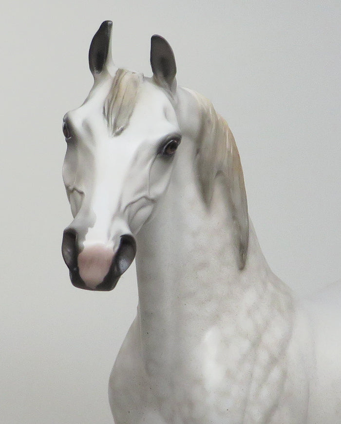 OMEGA - DAPPLE GREY LIMITED EDITION ARABIAN MODEL HORSE - LE4 -1/28