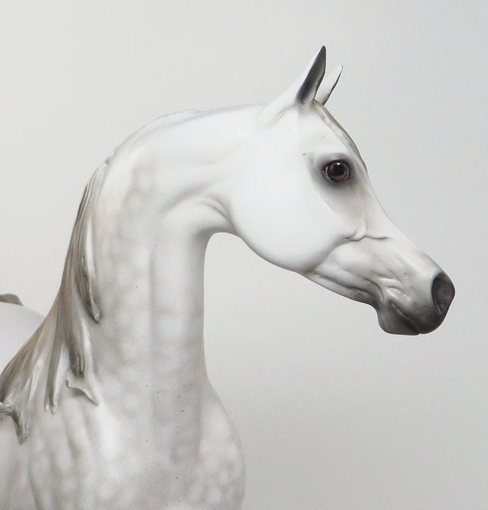 OMEGA - DAPPLE GREY LIMITED EDITION ARABIAN MODEL HORSE - LE4 -1/28