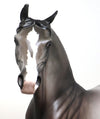 Custom Arabian