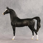 Signed, Seal Bay, Delivered OOAK Arabian Stallion by Jess Hamill VV26