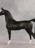 Signed, Seal Bay, Delivered OOAK Arabian Stallion by Jess Hamill VV26