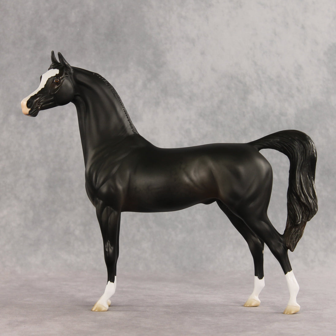 Signed, Seal Bay, Delivered OOAK Arabian Stallion by Jess Hamill VV26