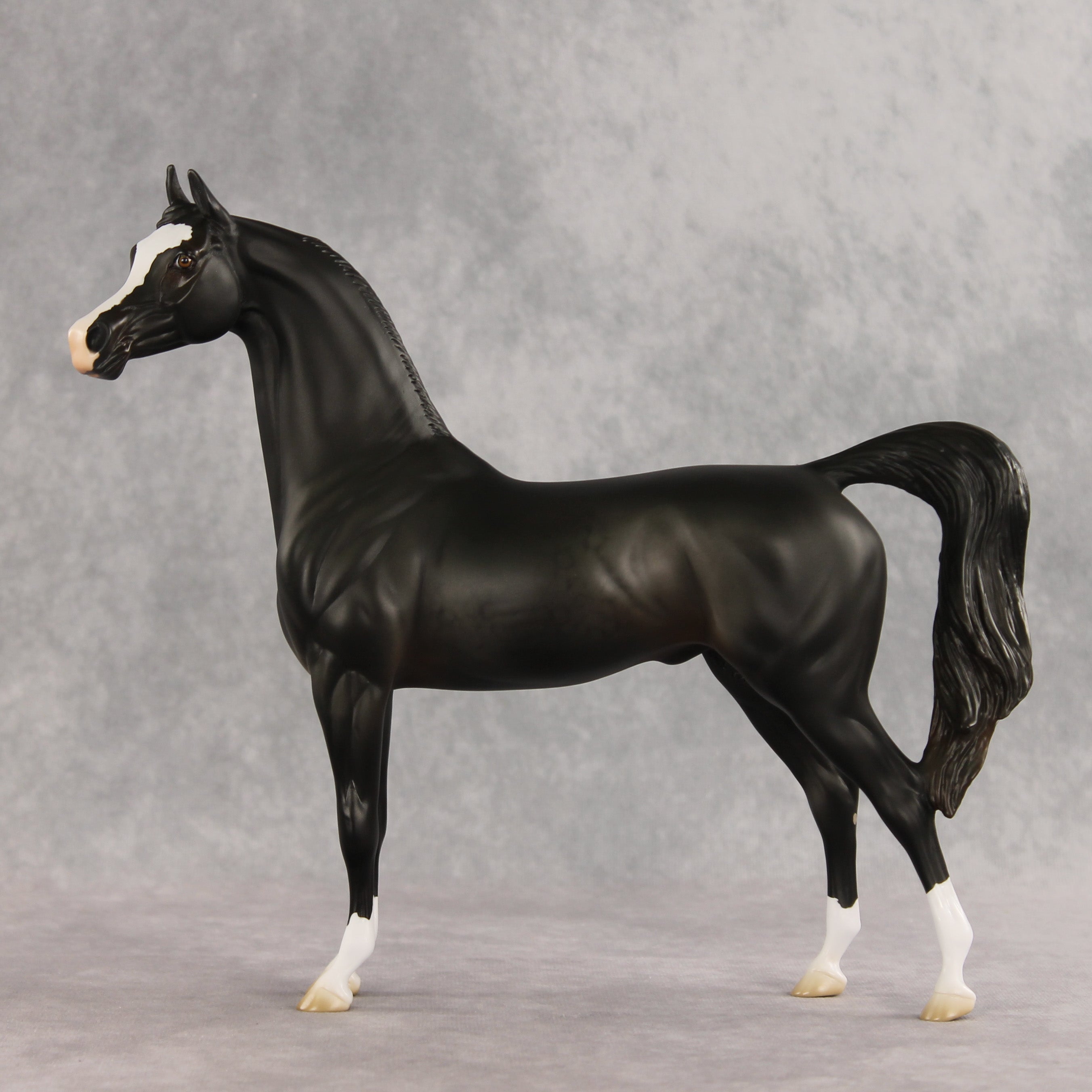 Signed, Seal Bay, Delivered OOAK Arabian Stallion by Jess Hamill VV26