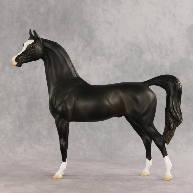 Signed, Seal Bay, Delivered OOAK Arabian Stallion by Jess Hamill VV26