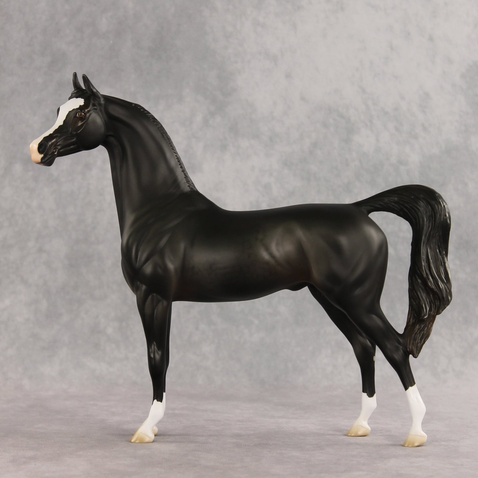 Signed, Seal Bay, Delivered OOAK Arabian Stallion by Jess Hamill VV26