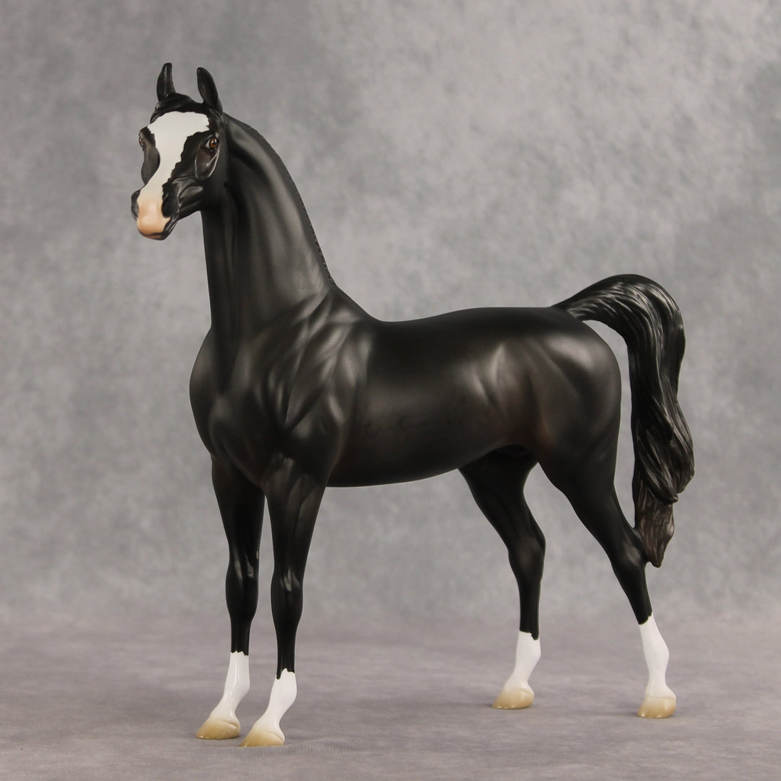 Signed, Seal Bay, Delivered OOAK Arabian Stallion by Jess Hamill VV26