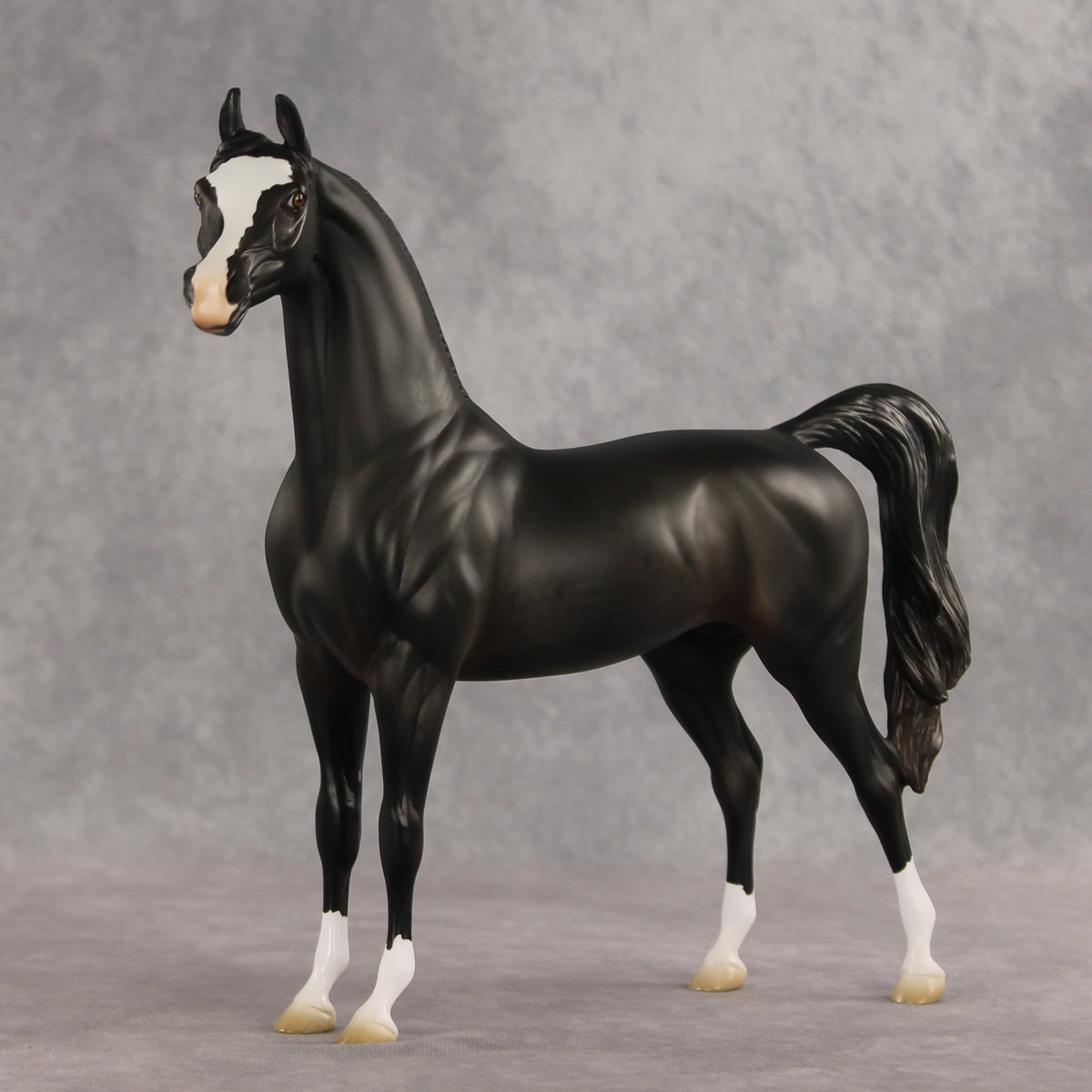Signed, Seal Bay, Delivered OOAK Arabian Stallion by Jess Hamill VV26