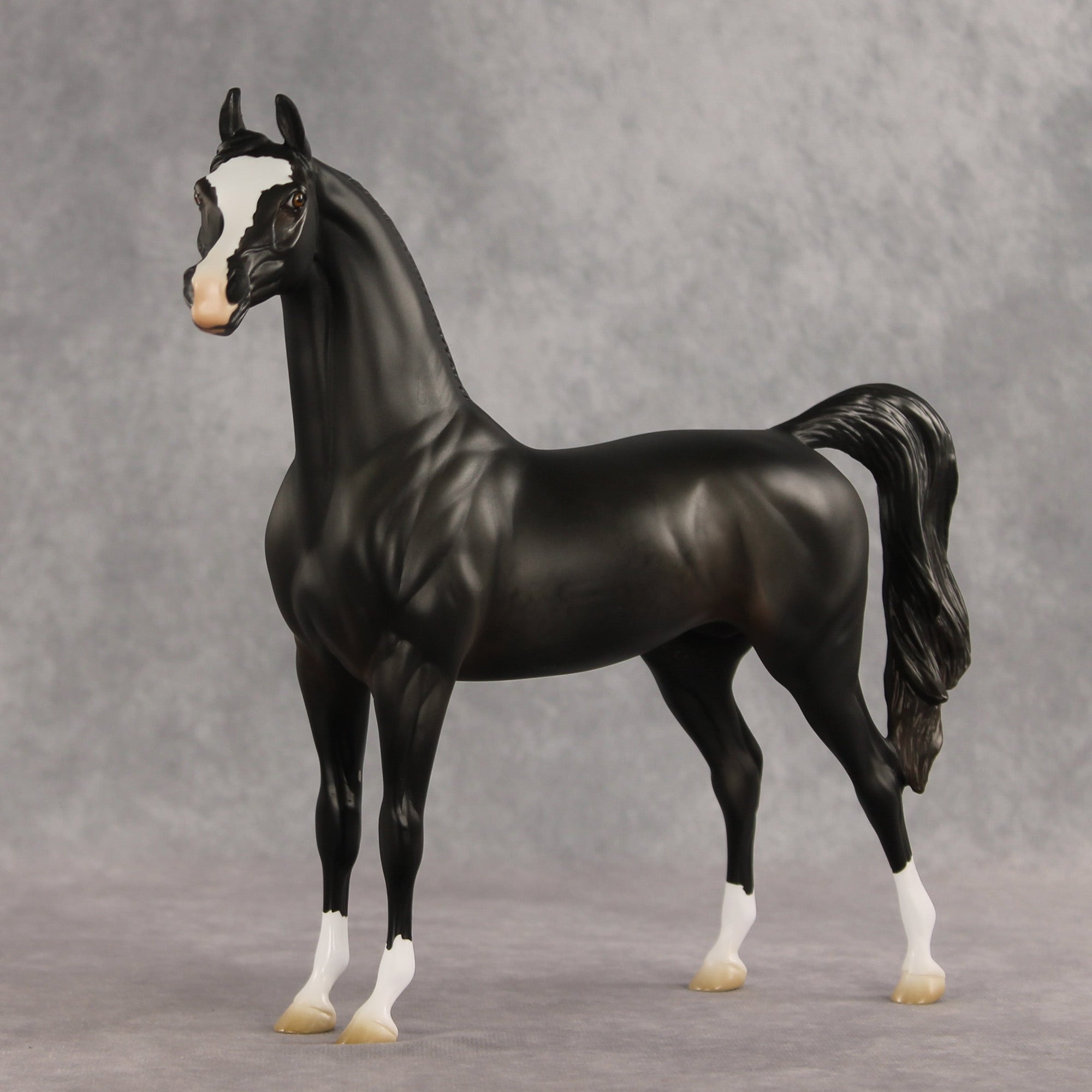 Signed, Seal Bay, Delivered OOAK Arabian Stallion by Jess Hamill VV26