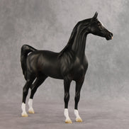 Signed, Seal Bay, Delivered OOAK Arabian Stallion by Jess Hamill VV26