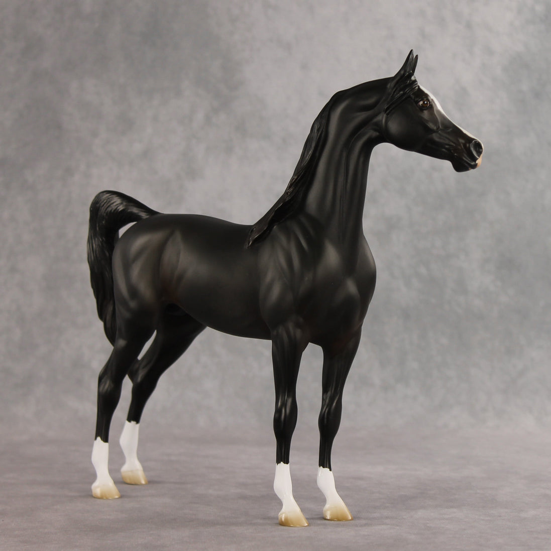Signed, Seal Bay, Delivered OOAK Arabian Stallion by Jess Hamill VV26