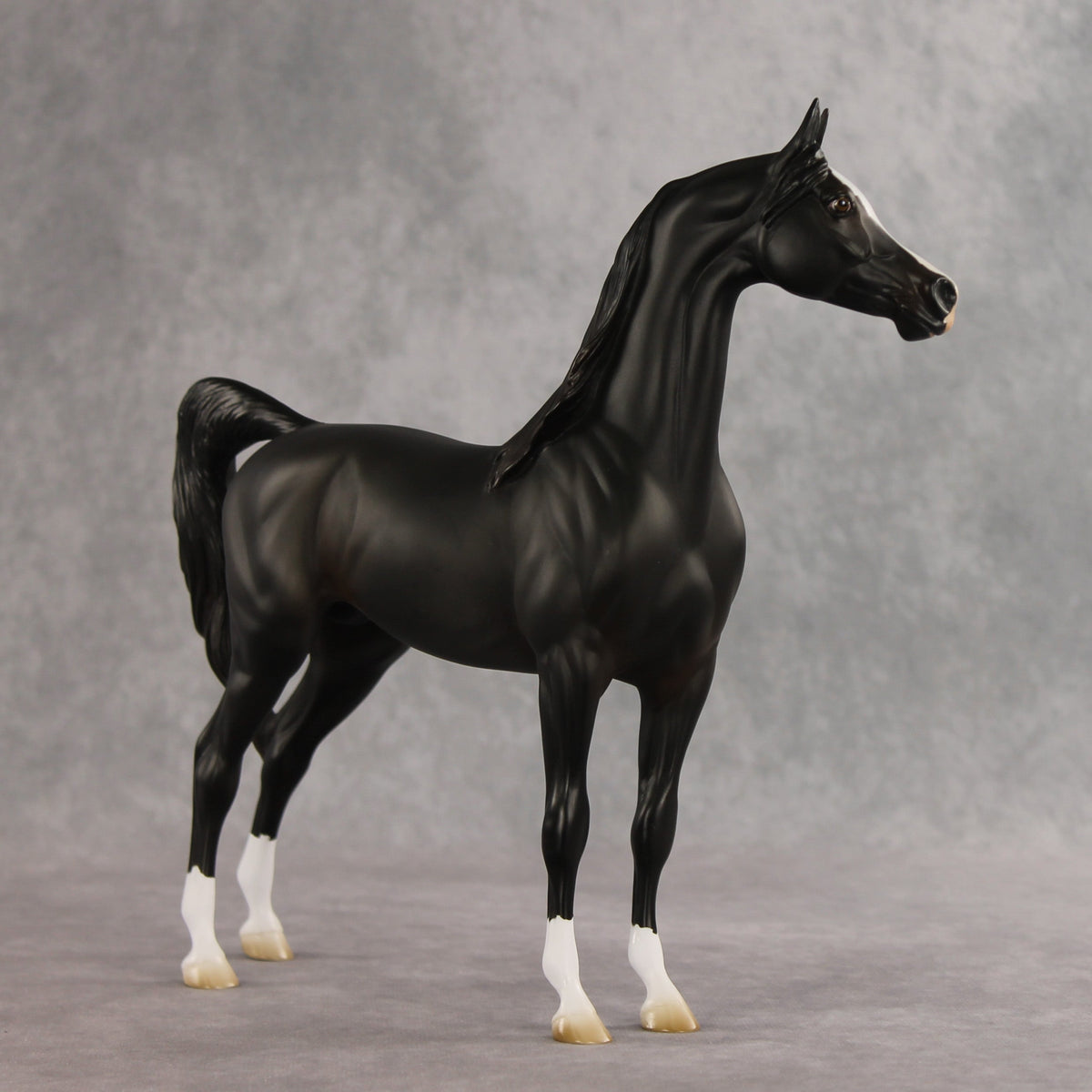 Signed, Seal Bay, Delivered OOAK Arabian Stallion by Jess Hamill VV26