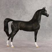 Signed, Seal Bay, Delivered OOAK Arabian Stallion by Jess Hamill VV26