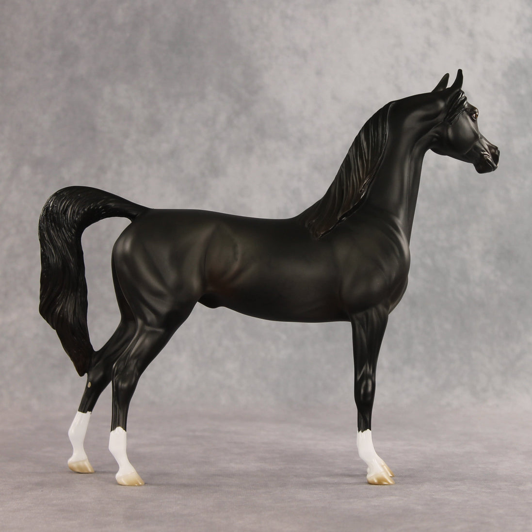 Signed, Seal Bay, Delivered OOAK Arabian Stallion by Jess Hamill VV26